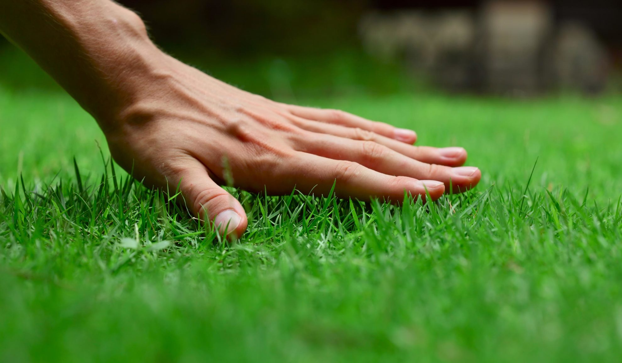 hand-touching-green-grass-monroe-nc