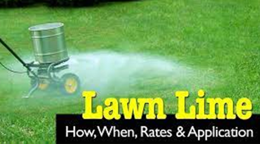 lawn lime being spread