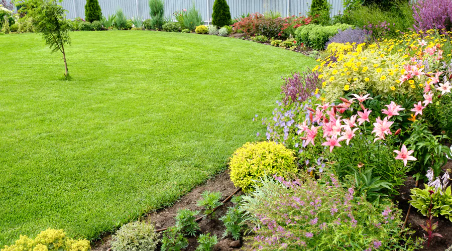 lawn care and landscape design waxhaw nc