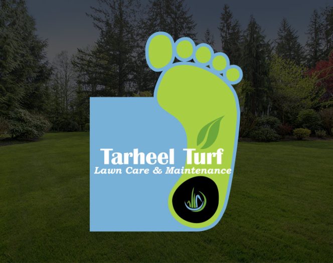 tarheel turf seo tile